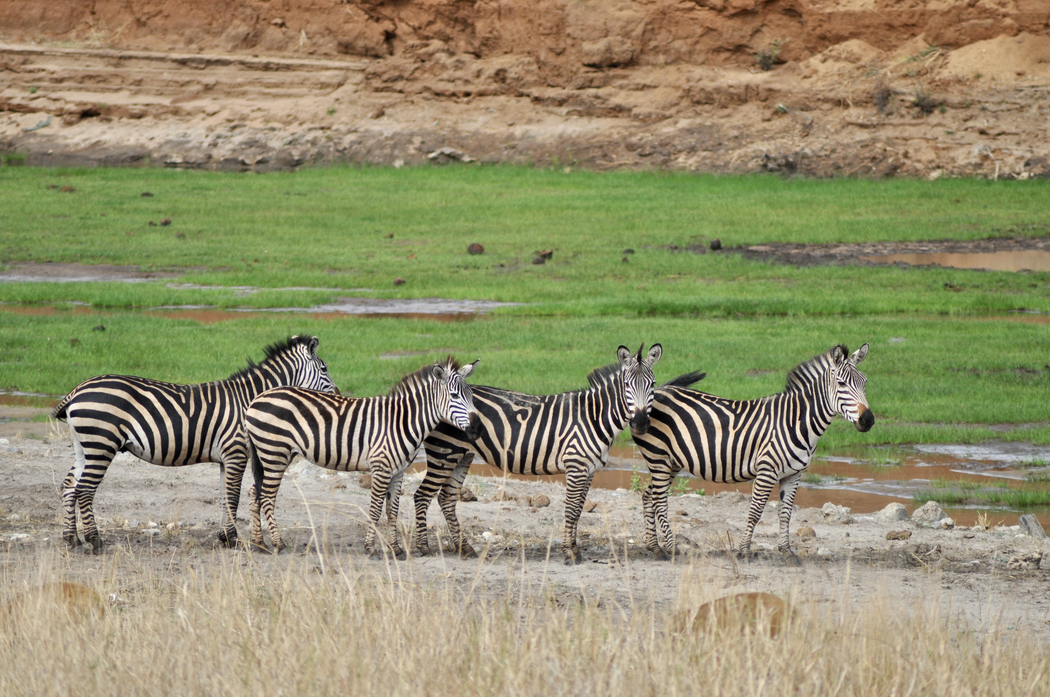 Tarangire National Park
