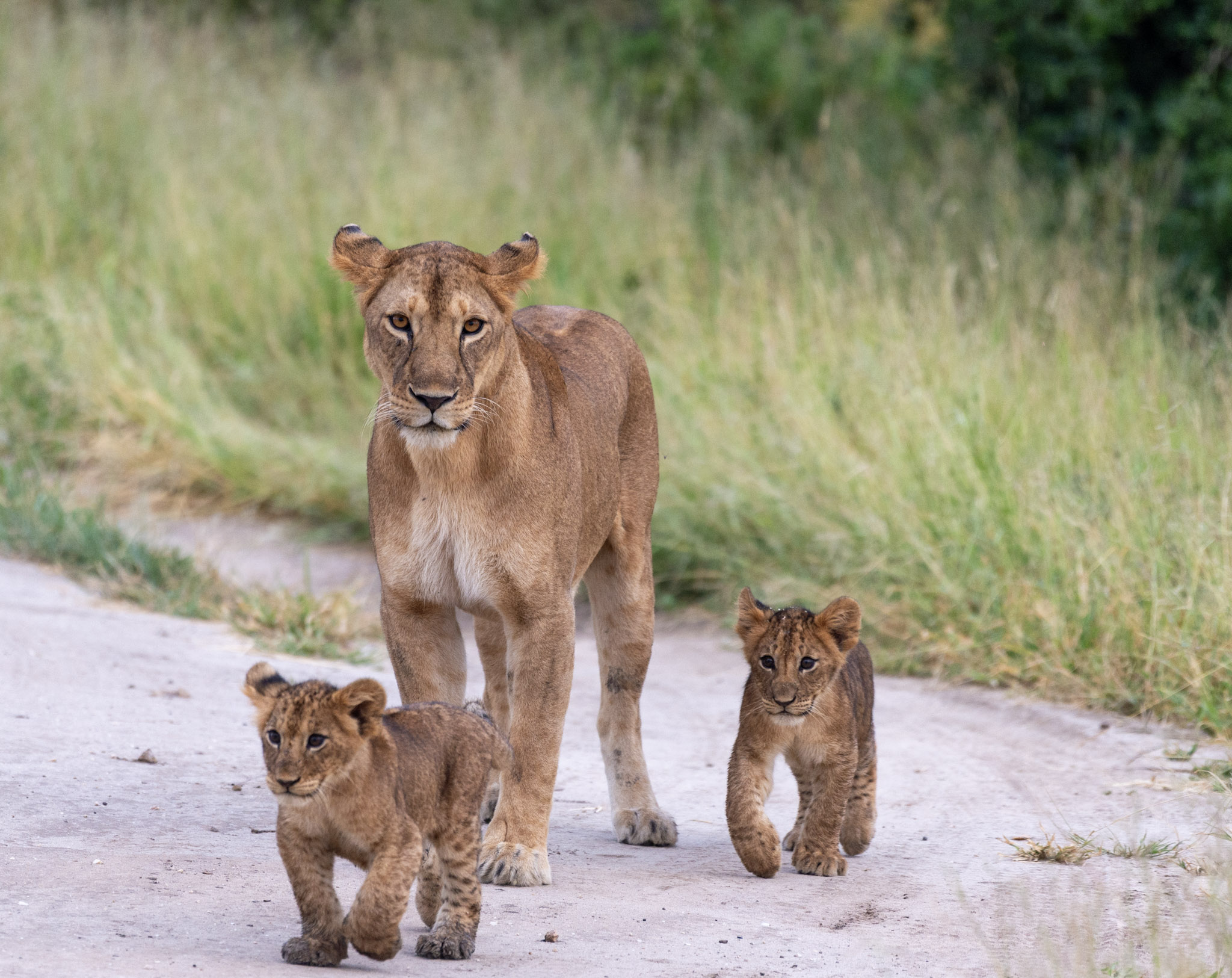 Serengeti National Park