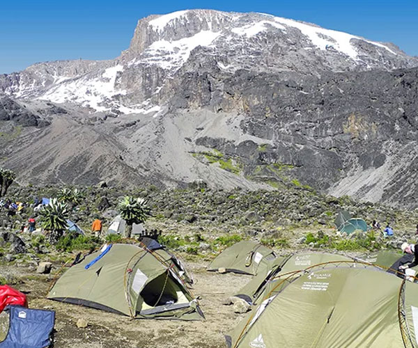 Kilimanjaro National Park