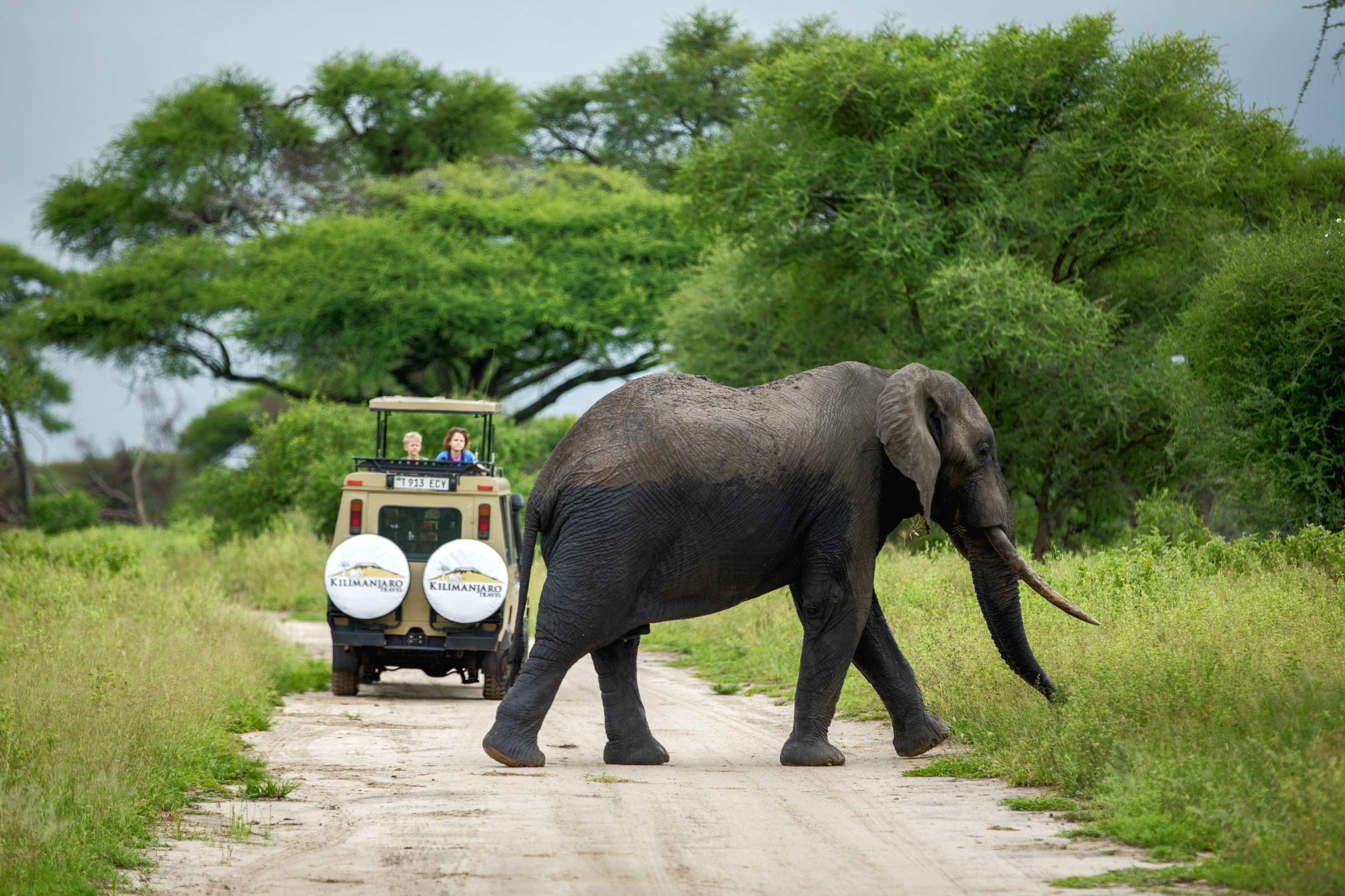Arusha → Tarangire National Park