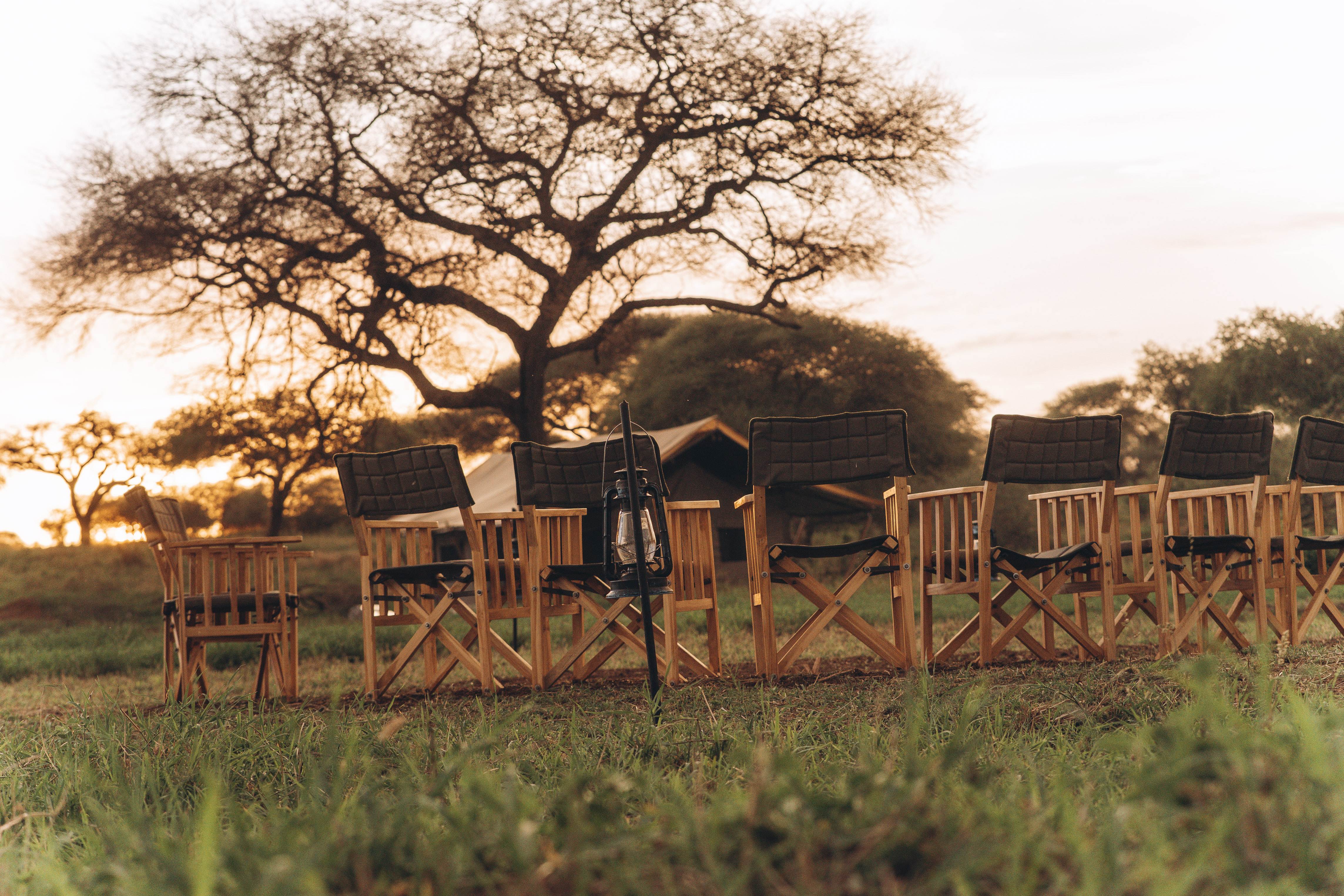 Tarangire National Park