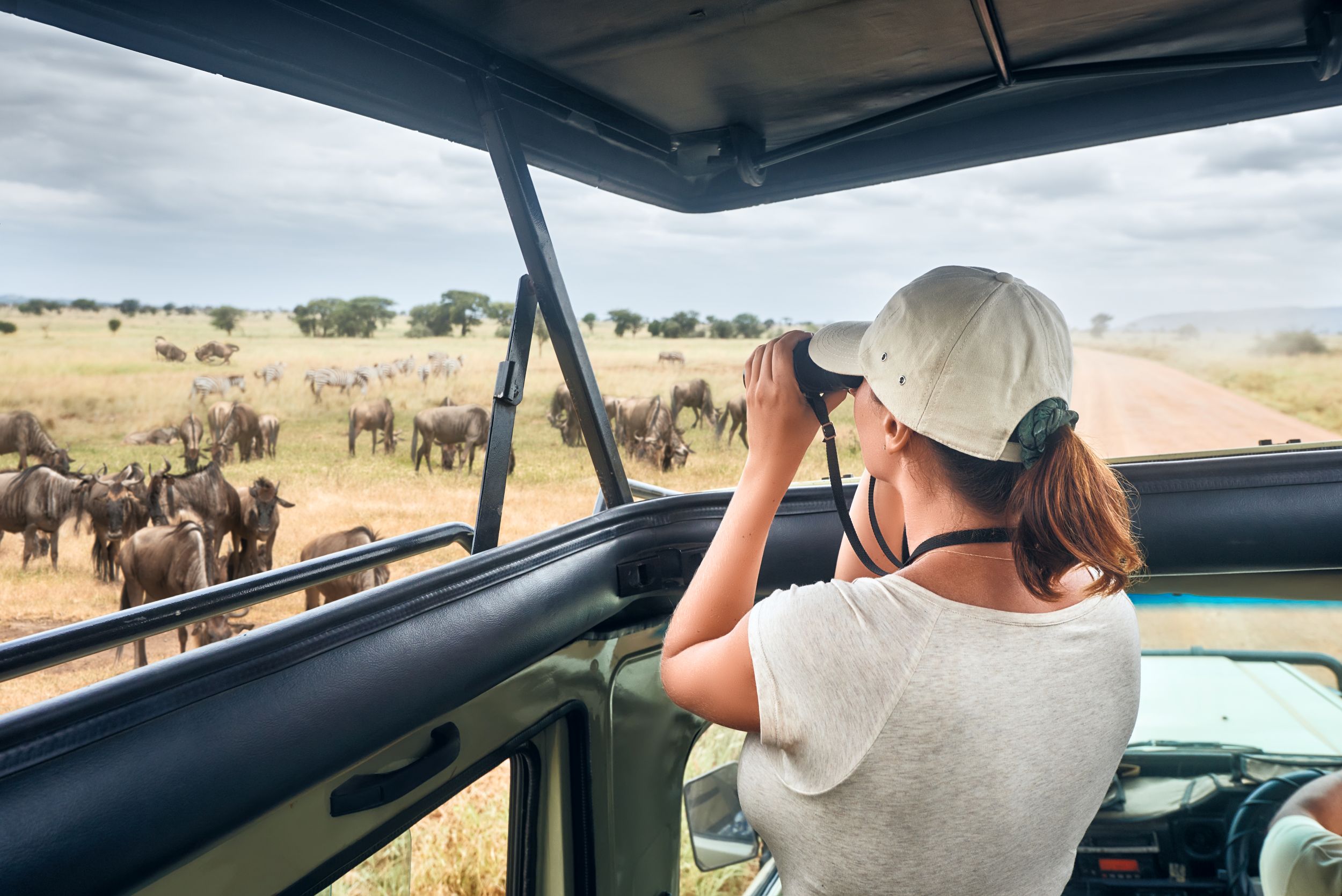 Ngorongoro Conservation Area