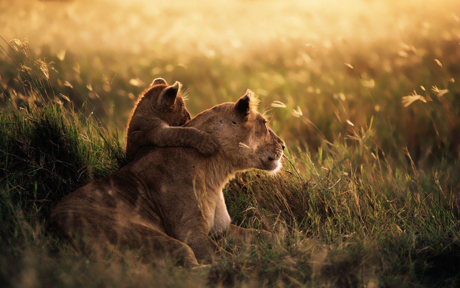 Serengeti National Park