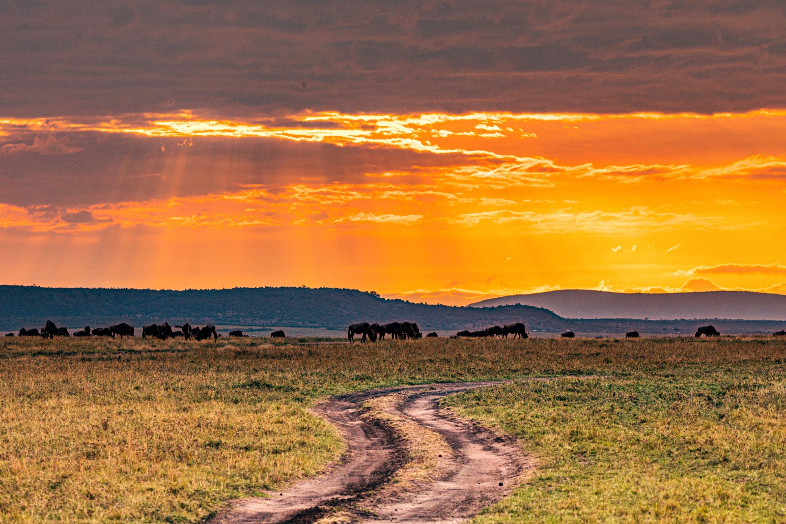 Serengeti National Park