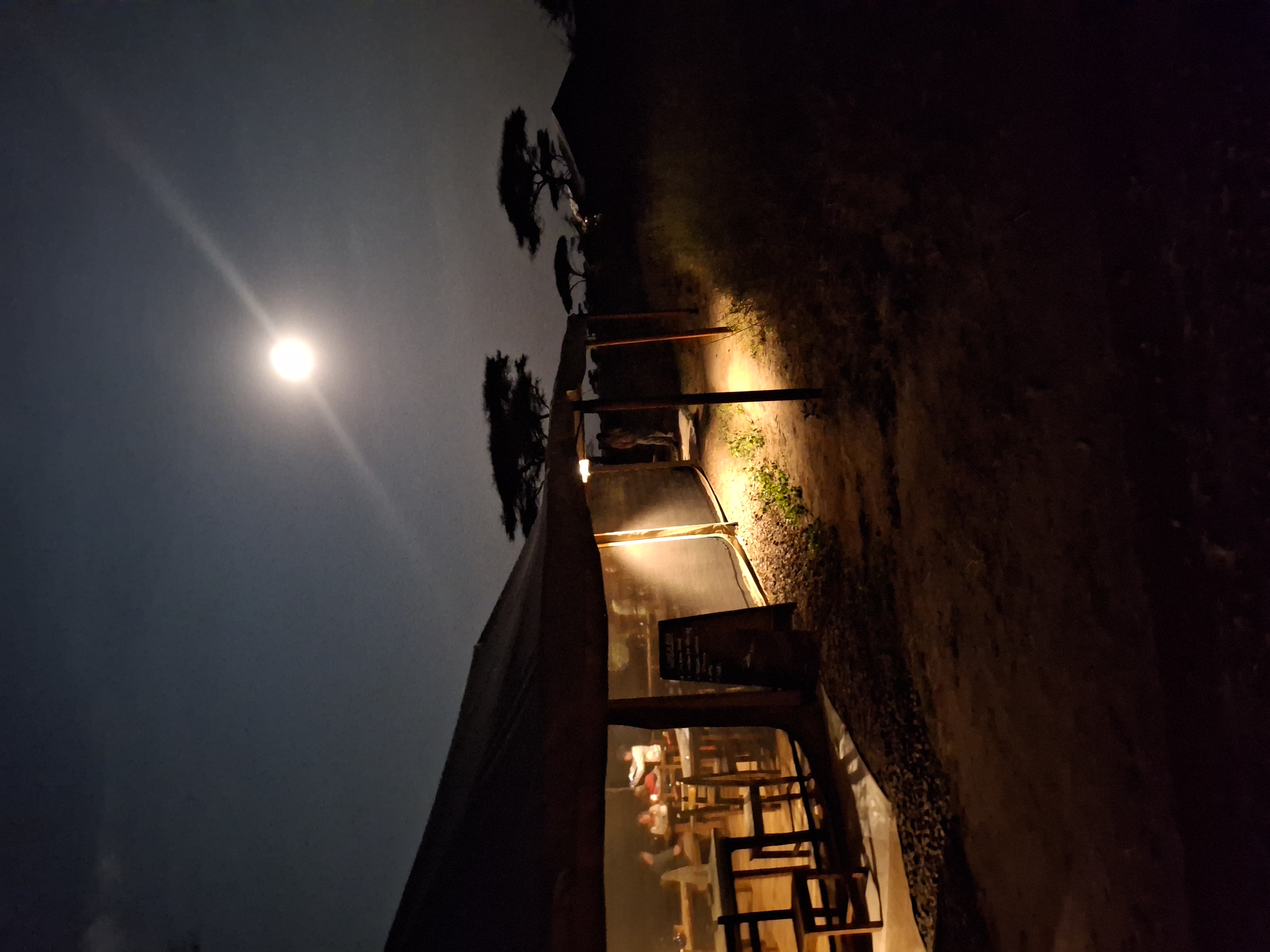 Ngorongoro Coffe Lodge