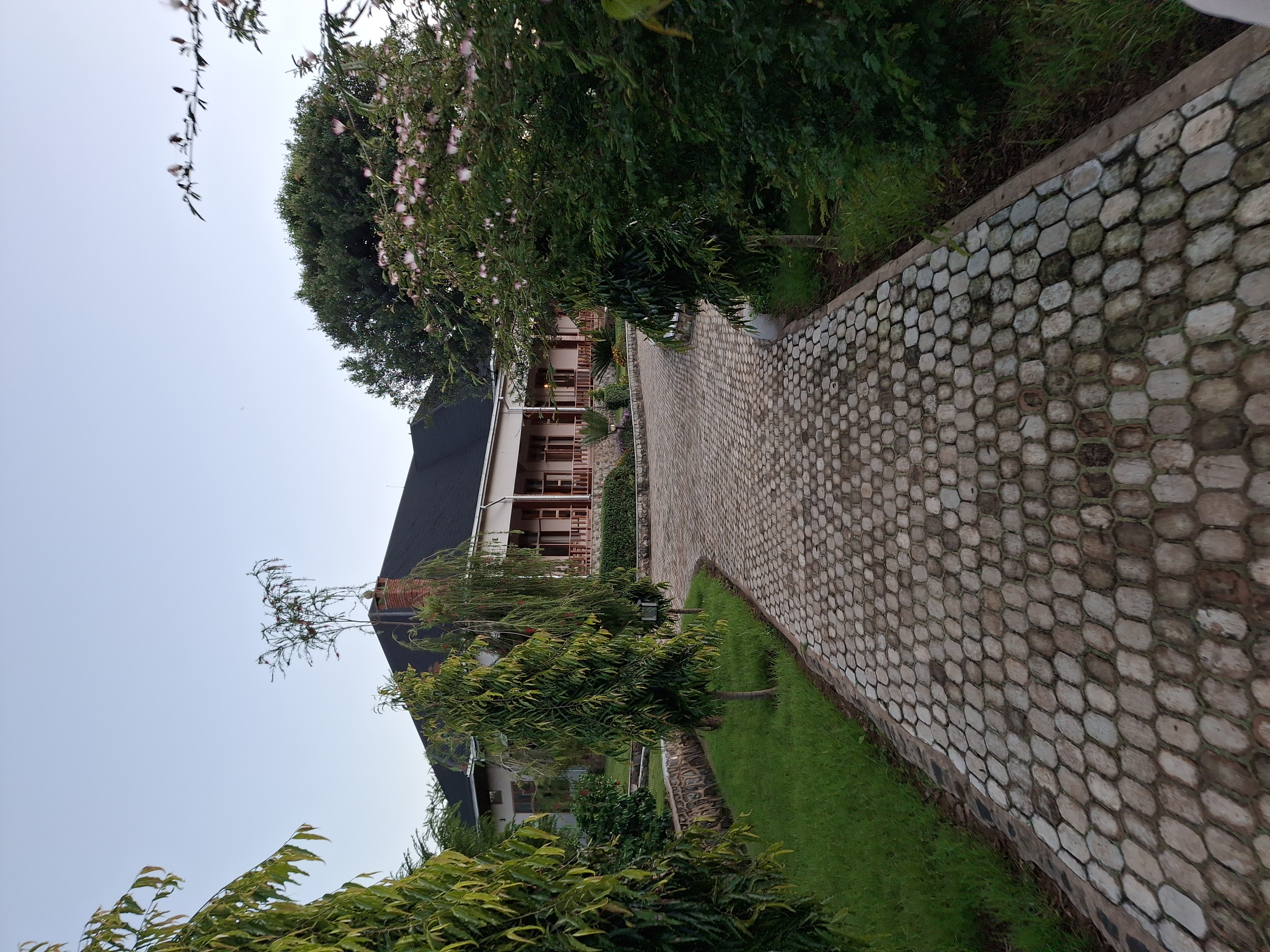 Ngorongoro Coffe Lodge