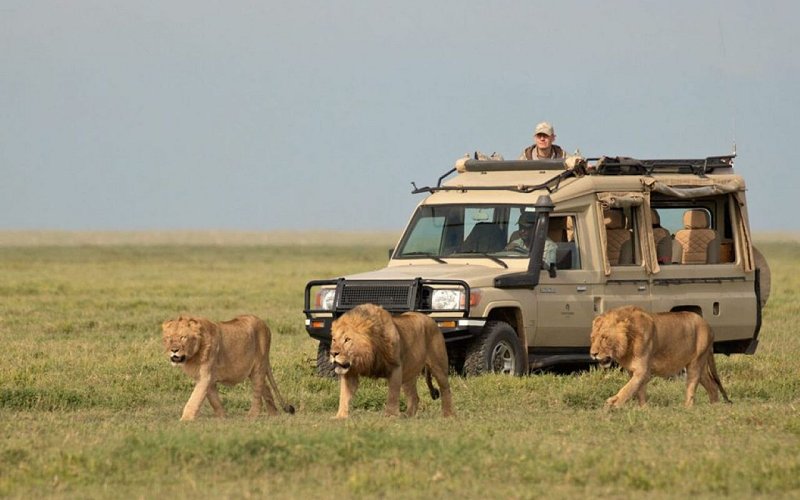 5 Day Tanzania Wildlife Adventure: Serengeti, Ngorongoro & Tarangire Safari