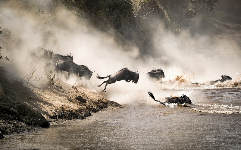 8 Day Great Migration Safari – Northern Tanzania