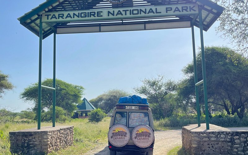 The Perfect Safari Getaway: Explore Tarangire & Ngorongoro In 2 Days Itinerary