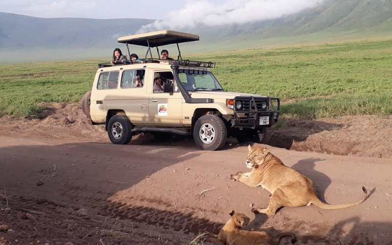 4 Day Tanzania Wildlife Adventure: Serengeti, Ngorongoro & Tarangire Safari