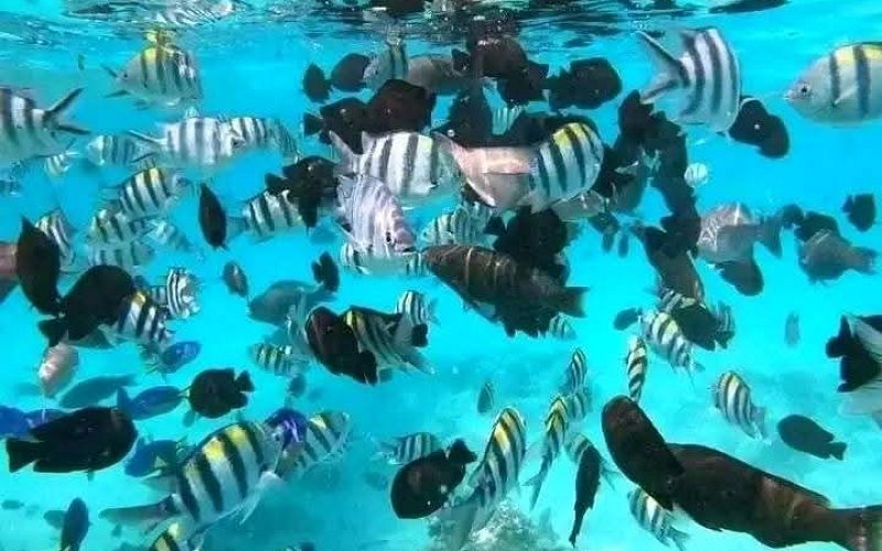 3 Day Zanzibar Holiday: Discover Tropical Beaches, Spice Island Magic & Swahili Culture