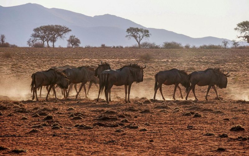 6 Day Best Of Northern Tanzania Safari