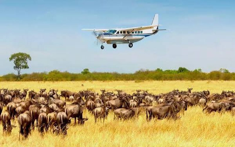 4 Day Northern Serengeti Fly In & Fly Out Safari – Great Migration Experience