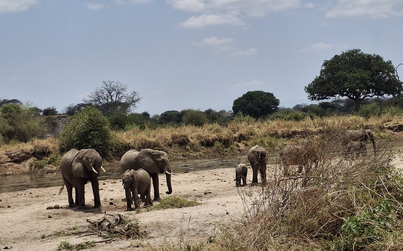 5 Day Tarangire, Serengeti, Ngorongoro Crater